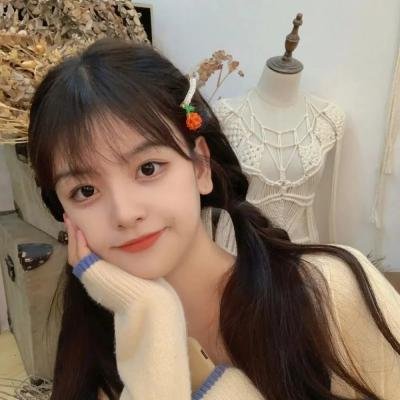 蒂科与鲨鱼